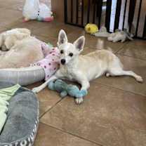 Thumbnail photo of Polly #3