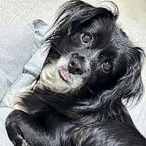 Thumbnail photo of Haengsoon #2