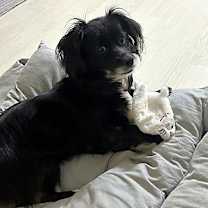 Thumbnail photo of Haengsoon #3