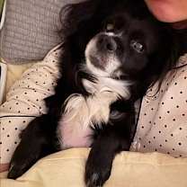 Thumbnail photo of Haengsoon #4