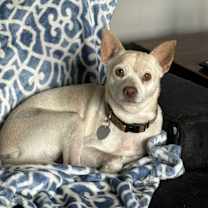Thumbnail photo of Little Andy #1
