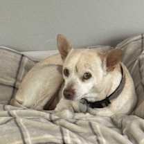 Thumbnail photo of Little Andy #4
