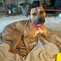 Thumbnail photo of Phoebe #4