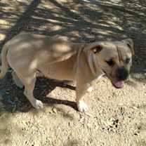 Thumbnail photo of Mantis - has sis Gamora #3