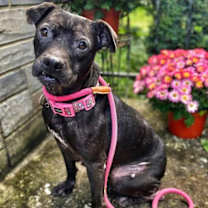 Thumbnail photo of Clara #2