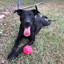 Thumbnail photo of Sally #1