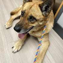 Thumbnail photo of Sunshine #3