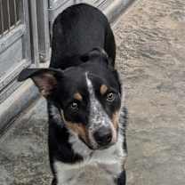 Thumbnail photo of Atlas #2