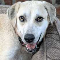 Thumbnail photo of Kiara #1