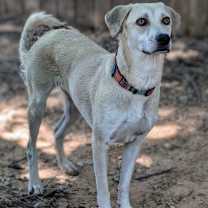 Thumbnail photo of Kiara #2