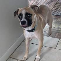 Thumbnail photo of Bandit #2