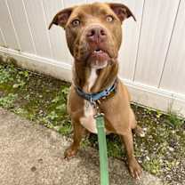 Thumbnail photo of Phil #2