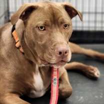 Thumbnail photo of Phil #3