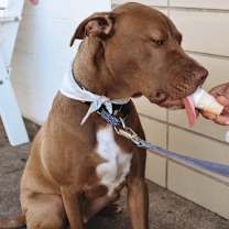 Thumbnail photo of Phil #4