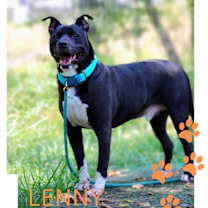 Thumbnail photo of Lenny (Kravitz) #1