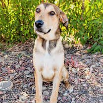 Thumbnail photo of Lissy #1