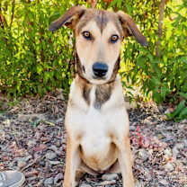 Thumbnail photo of Lissy #4