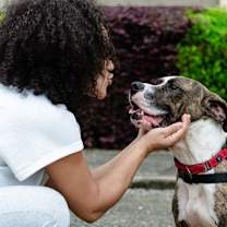 Thumbnail photo of Bunji #2