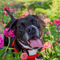 Thumbnail photo of JUNIOR #1