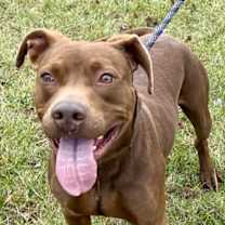 Thumbnail photo of Morocco #1