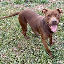 Thumbnail photo of Morocco #2