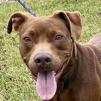 Thumbnail photo of Morocco #3