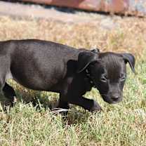 Thumbnail photo of Lady #1