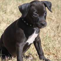 Thumbnail photo of Lady #2