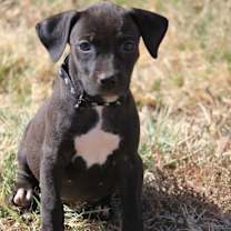 Thumbnail photo of Lady #3