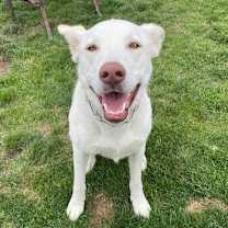 Thumbnail photo of Luna #3