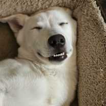 Thumbnail photo of Rip #2