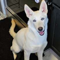 Thumbnail photo of Rip #4