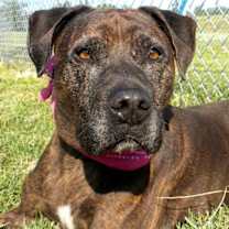 Thumbnail photo of Mama #2