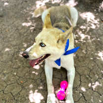 Thumbnail photo of Luka #2