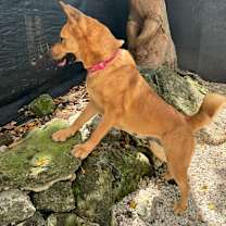 Thumbnail photo of Sugar #2