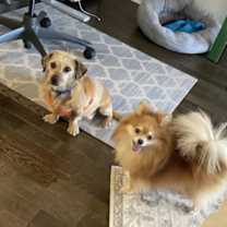 Thumbnail photo of Toto~ #4