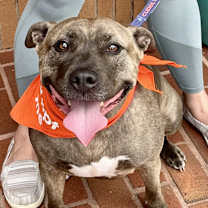 Thumbnail photo of Mara #2