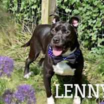 Thumbnail photo of Lenny (Kravitz) #4