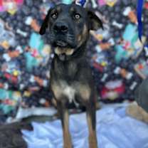 Thumbnail photo of Luke #1