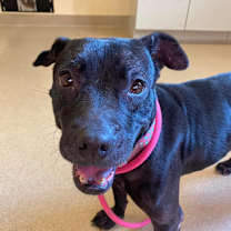 Thumbnail photo of Clara #4