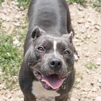Thumbnail photo of Laila #2