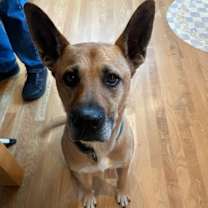 Thumbnail photo of Archer #4