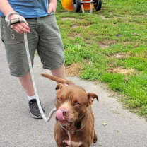 Thumbnail photo of Chance #2