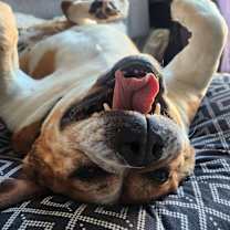 Thumbnail photo of Daisy #2