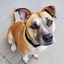 Thumbnail photo of Gigglesworth #1