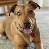 Thumbnail photo of Penny #1