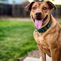 Thumbnail photo of Penny #2