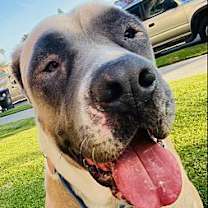 Thumbnail photo of Sabrina #1