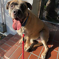 Thumbnail photo of Sabrina #2