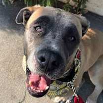 Thumbnail photo of Sabrina #4